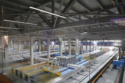 探秘新能源產業(yè)“超級工廠” 走進福建紫金鋰元，解碼材料科技與創(chuàng)新動能